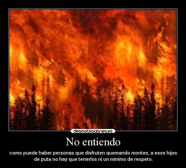 No entiendo - 