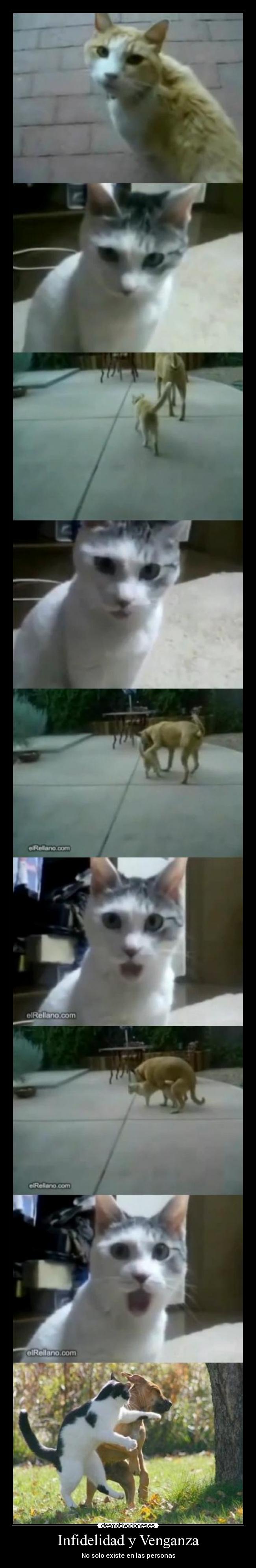 Infidelidad y Venganza -