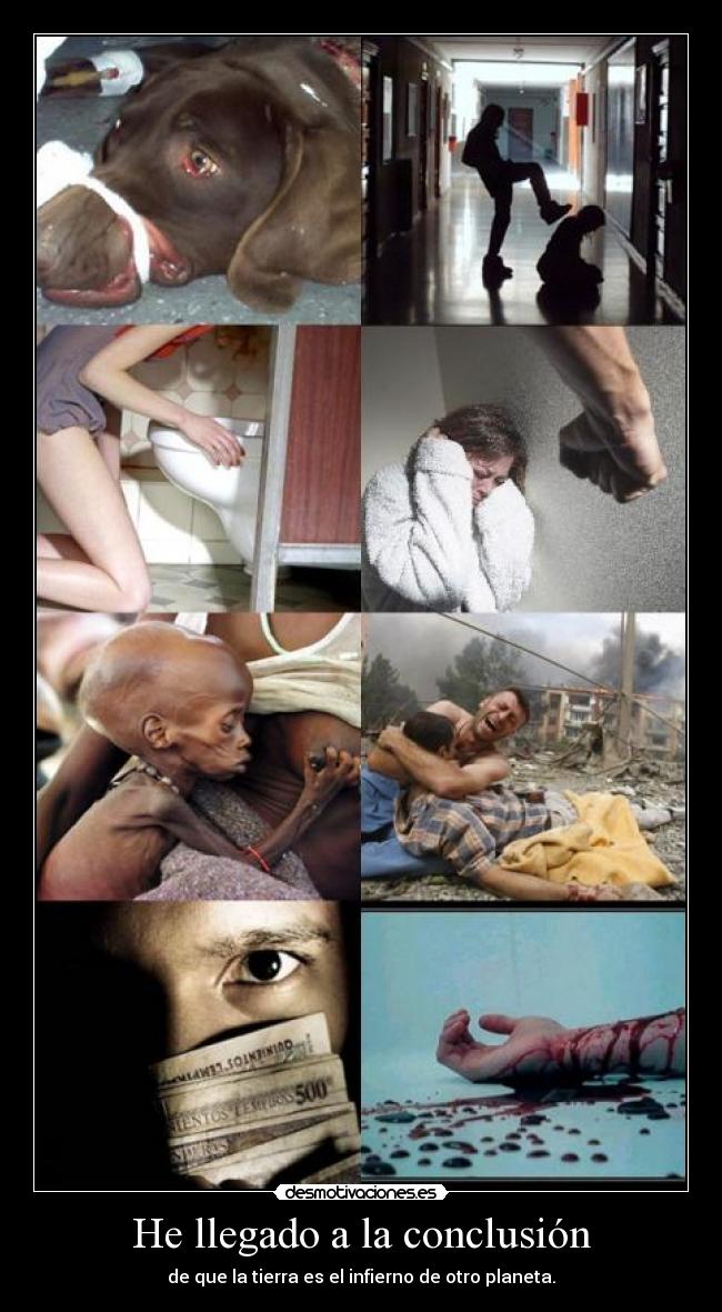 He llegado a la conclusión -