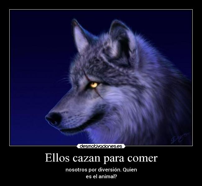 Ellos cazan para comer - nosotros por diversión. Quien
es el animal?