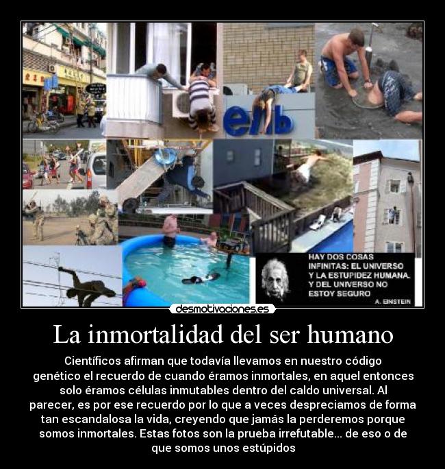 La inmortalidad del ser humano - Científicos afirman que todavía llevamos en nuestro código
genético el recuerdo de cuando éramos inmortales, en aquel entonces
solo éramos células inmutables dentro del caldo universal. Al
parecer, es por ese recuerdo por lo que a veces despreciamos de forma
tan escandalosa la vida, creyendo que jamás la perderemos porque
somos inmortales. Estas fotos son la prueba irrefutable... de eso o de
que somos unos estúpidos