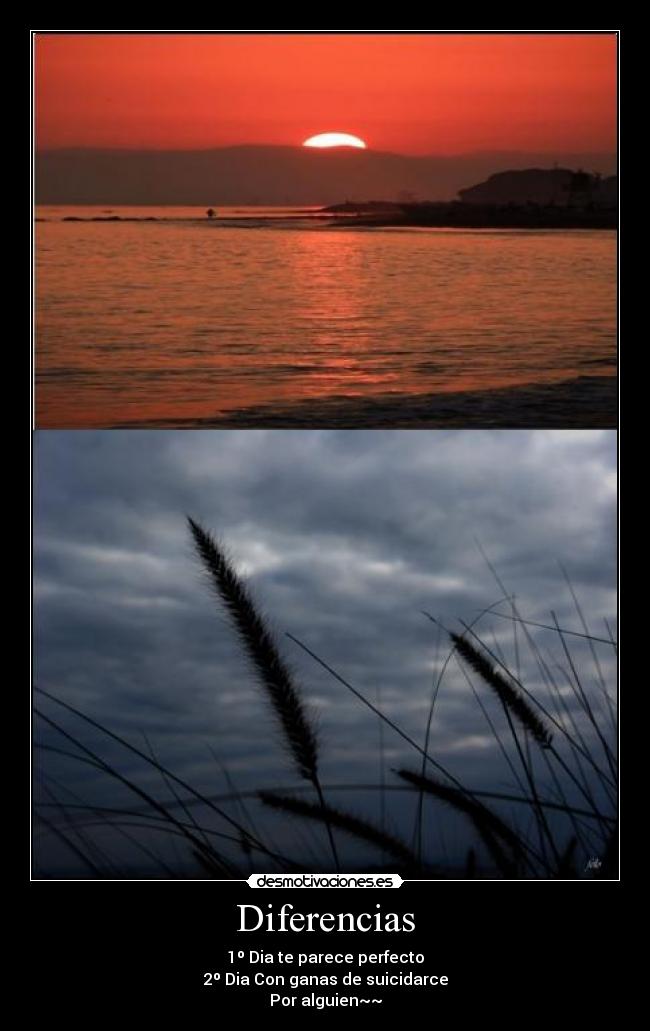 Diferencias - 1º Dia te parece perfecto
2º Dia Con ganas de suicidarce
Por alguien~~