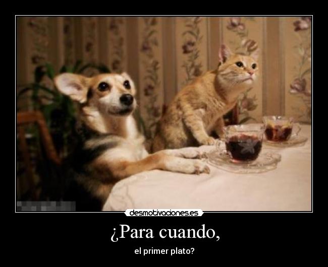 ¿Para cuando, - 