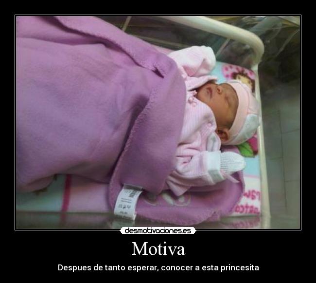 Motiva - 