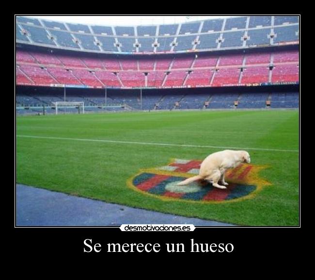 Se merece un hueso - 