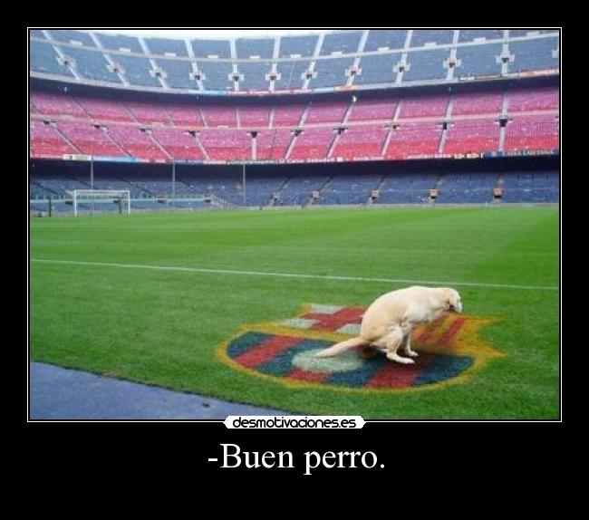 -Buen perro. - 