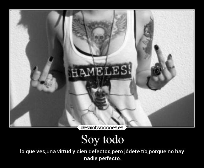 Soy todo - lo que ves,una virtud y cien defectos,pero jódete tío,porque no hay nadie perfecto.