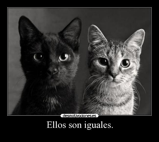 Ellos son iguales. - 