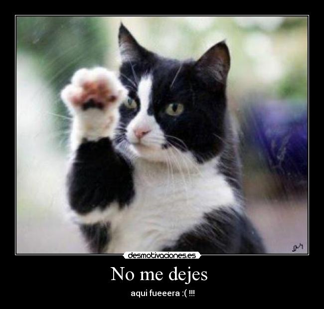 No me dejes -