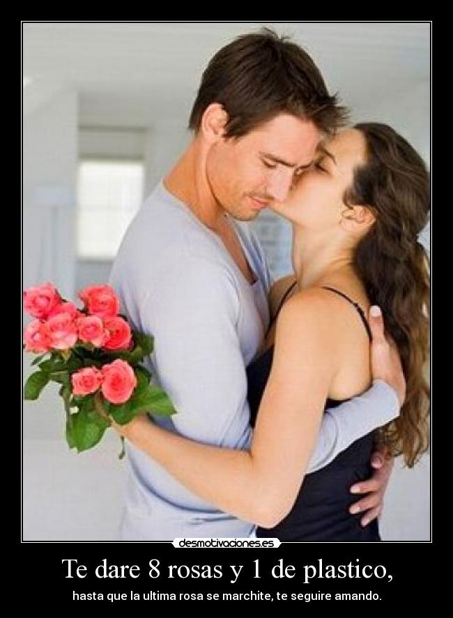 Te dare 8 rosas y 1 de plastico, - hasta que la ultima rosa se marchite, te seguire amando.