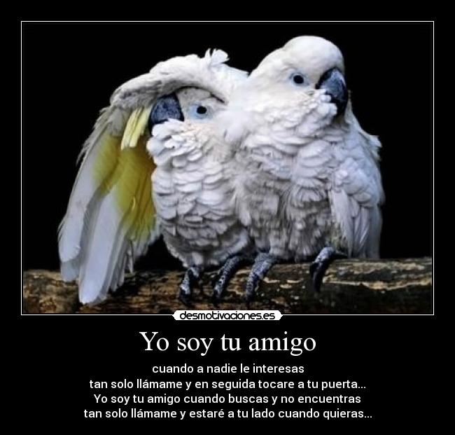 Yo soy tu amigo -