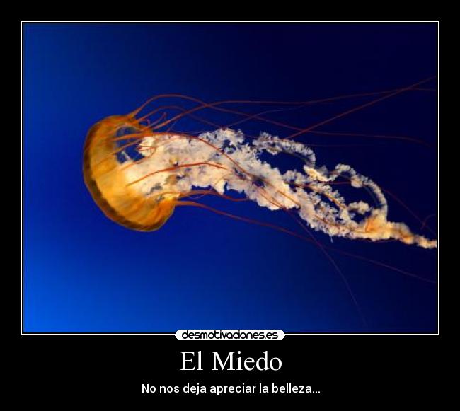 El Miedo -