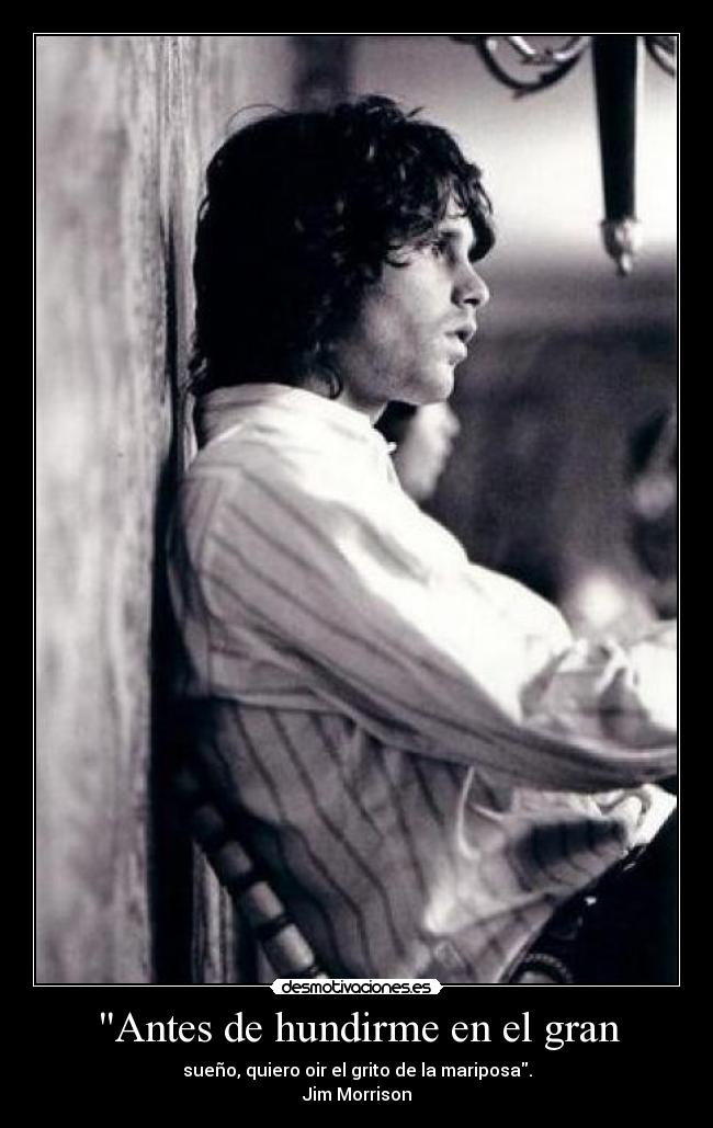 Antes de hundirme en el gran - sueño, quiero oir el grito de la mariposa.
Jim Morrison