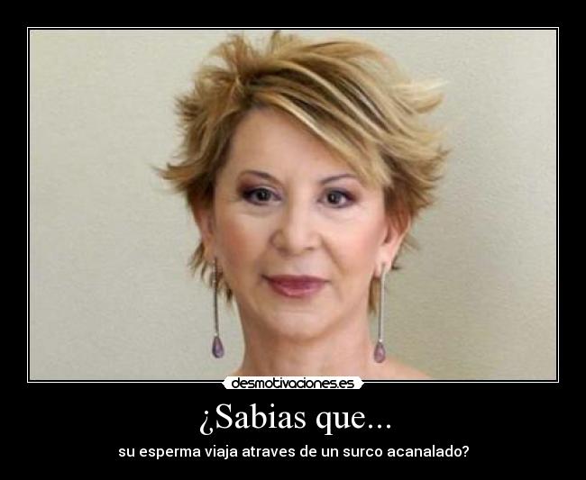 ¿Sabias que... -