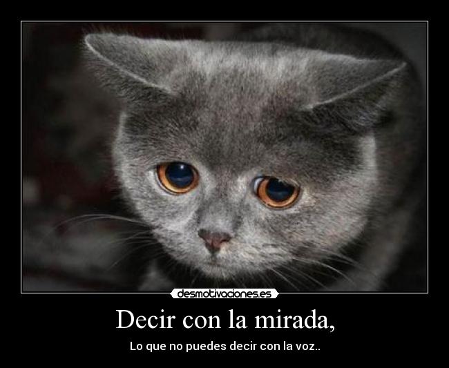 Decir con la mirada, -