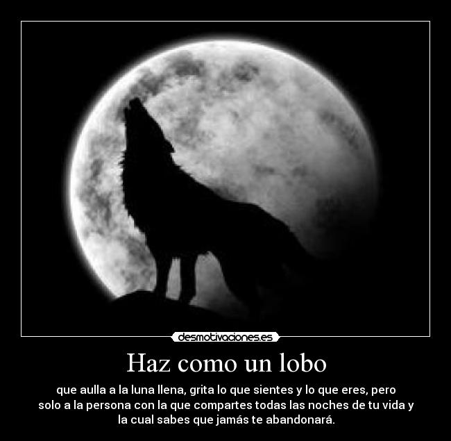 Haz como un lobo -