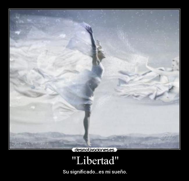 carteles libertad libertad dios del viento desmotivaciones