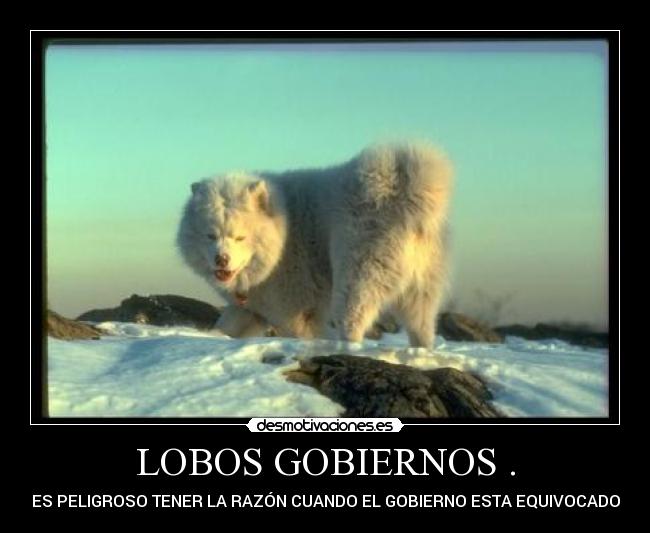LOBOS GOBIERNOS . - ES PELIGROSO TENER LA RAZÓN CUANDO EL GOBIERNO ESTA EQUIVOCADO