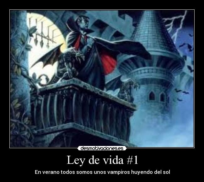 Ley de vida #1 - En verano todos somos unos vampiros huyendo del sol