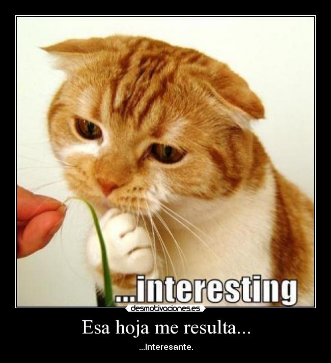 Esa hoja me resulta... - ...Interesante.