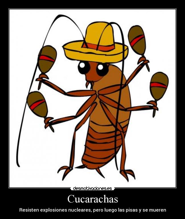 carteles cucarachas desmotivaciones