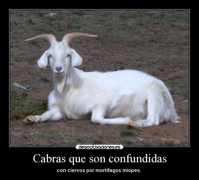 Cabras que son confundidas - con ciervos por mortifagos miopes. 