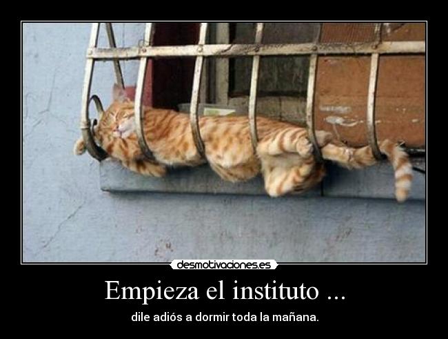 Empieza el instituto ... -