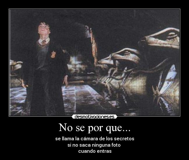 carteles harry potter desmotivaciones