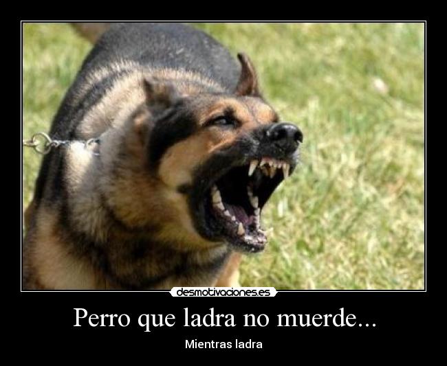 Perro que ladra no muerde... - 