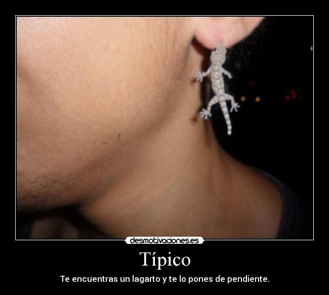 carteles cago die puto lagarto como dejo oreja fina comi con papas desmotivaciones