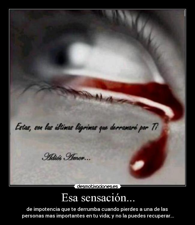 Esa sensación... - de impotencia que te derrumba cuando pierdes a una de las
personas mas importantes en tu vida; y no la puedes recuperar...