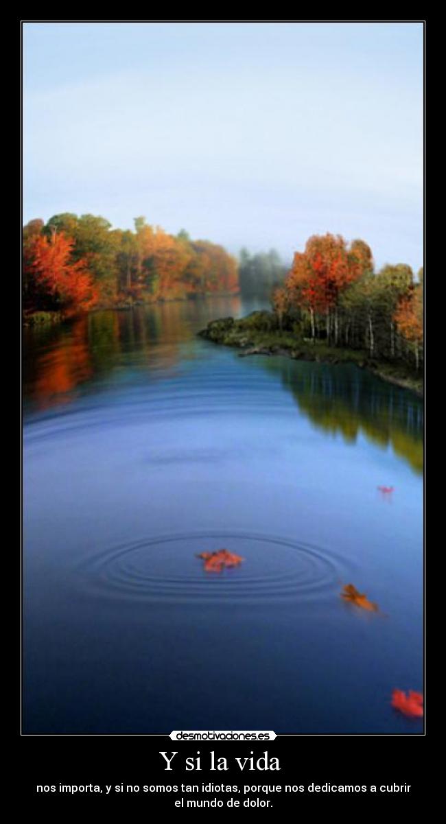 Y si la vida -