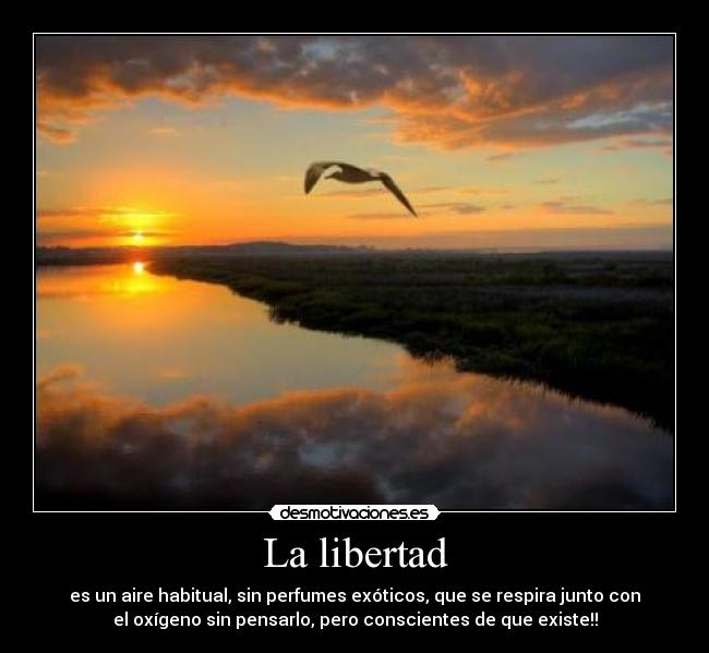La libertad - es un aire habitual, sin perfumes exóticos, que se respira junto con
el oxígeno sin pensarlo, pero conscientes de que existe!!