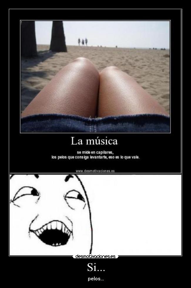 carteles pelos desmotivaciones