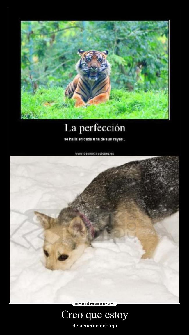 Creo que estoy - de acuerdo contigo