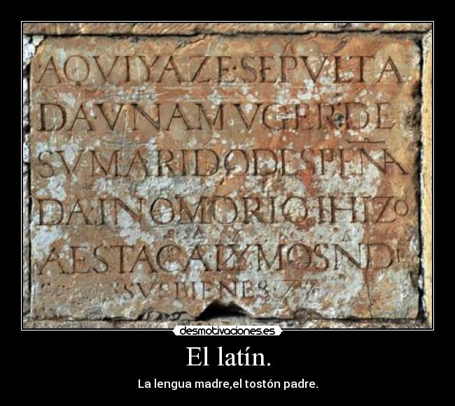 El latín. -