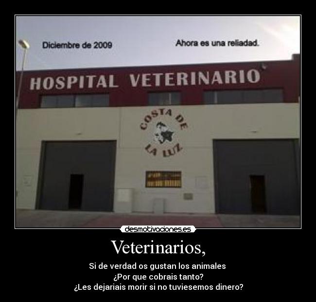Veterinarios, - Si de verdad os gustan los animales
¿Por que cobrais tanto?
¿Les dejariais morir si no tuviesemos dinero?