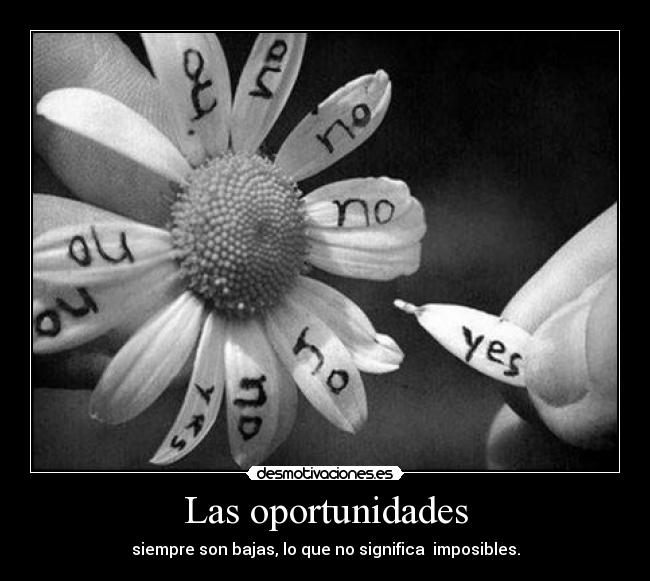 Las oportunidades - 