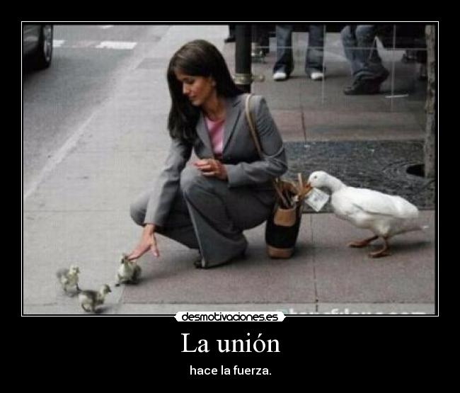 La unión - 