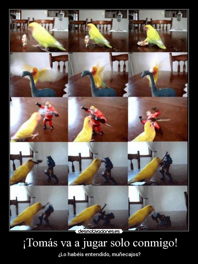 ¡Tomás va a jugar solo conmigo! - 