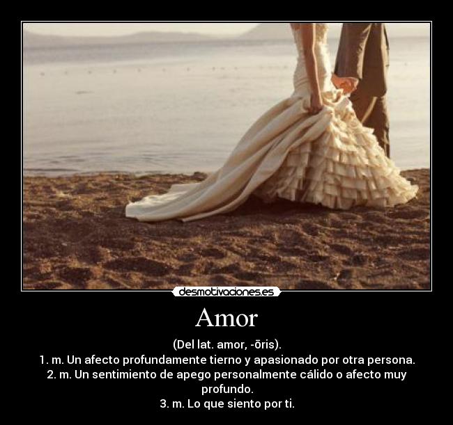Amor - (Del lat. amor, -ōris).
1. m. Un afecto profundamente tierno y apasionado por otra persona.
2. m. Un sentimiento de apego personalmente cálido o afecto muy profundo.
3. m. Lo que siento por ti.