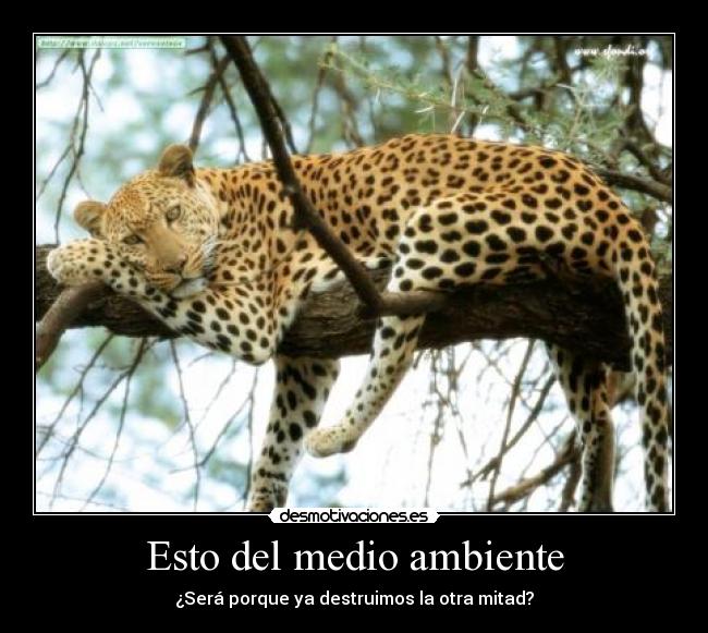 Esto del medio ambiente -