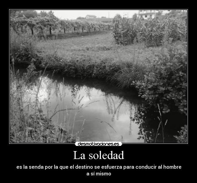 La soledad - 