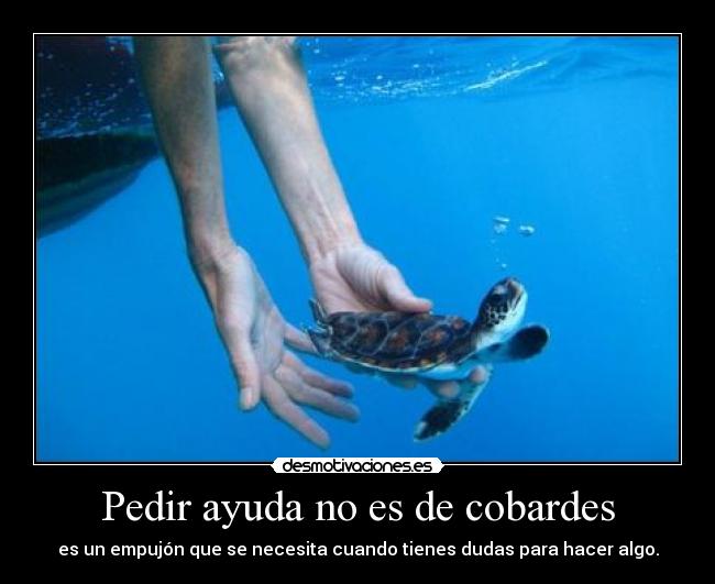 Pedir ayuda no es de cobardes - es un empujón que se necesita cuando tienes dudas para hacer algo.