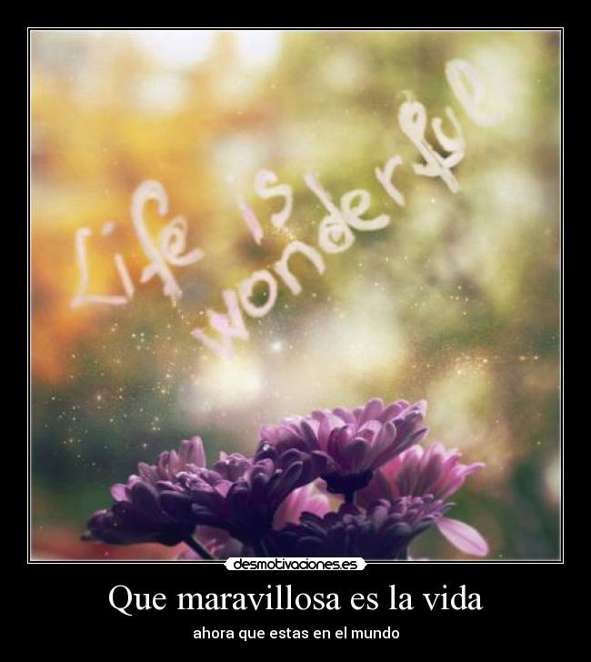 carteles vida _isma_ que esta enamorado una persona maravillosa resubido veces desmotivaciones