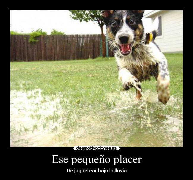 Ese pequeño placer - De juguetear bajo la lluvia