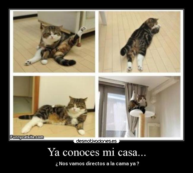 Ya conoces mi casa... - 