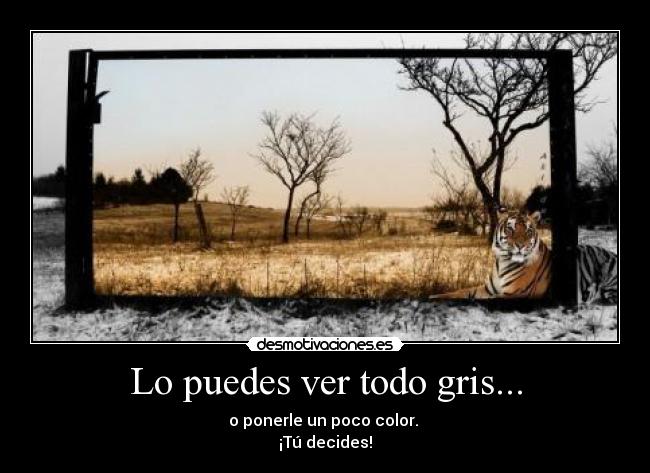 carteles akleduok clanvirus desmotivaciones