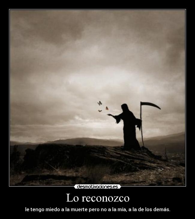 carteles mueras desmotivaciones