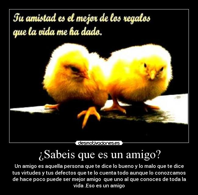 ¿Sabeis que es un amigo? - Un amigo es aquella persona que te dice lo bueno y lo malo que te dice
tus virtudes y tus defectos que te lo cuenta todo aunque lo conozcamos
de hace poco puede ser mejor amigo que uno al que conoces de toda la
vida .Eso es un amigo